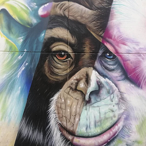 Grafiti Tour comuna 13